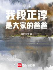 段正淳武功差