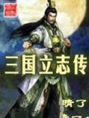 三国立志传3秘籍代码