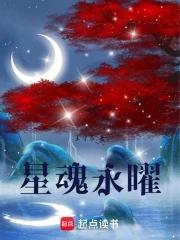 星魂什么实力