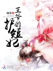 王爷的守护男妃完整版